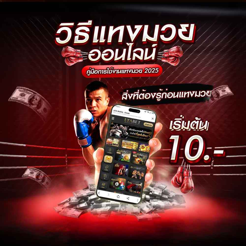 วิธีแทงมวย