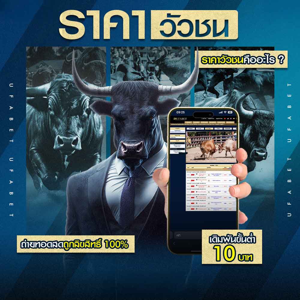 ราคาวัวชน