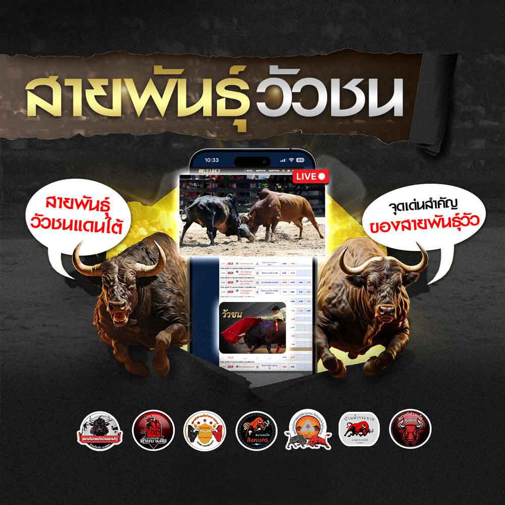 สายพันธุ์วัวชน