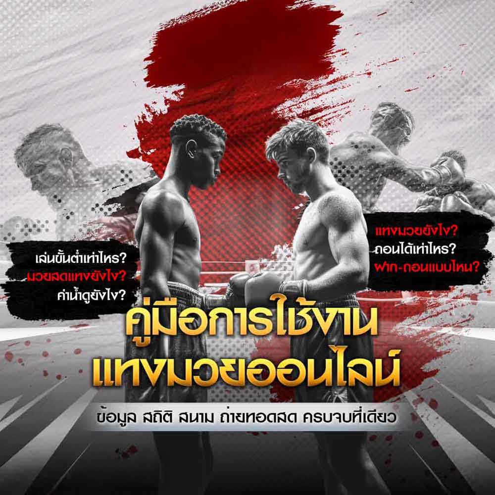 คู่มือการใช้งานแทงมวย